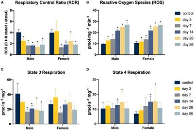 Long-Lasting Impairments in Quadriceps Mitochondrial Health, Muscle Size, and Phenotypic Composition Are Present After Non-invasive Anterior Cruciate Ligament Injury